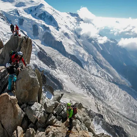 Grand Roc - Campanules 325 - Happy *