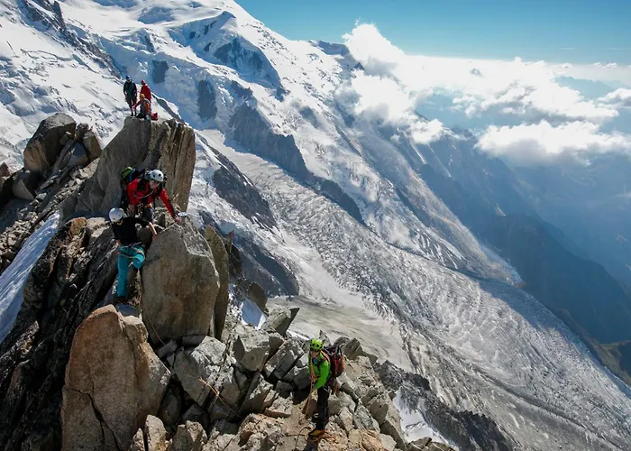 Grand Roc - Campanules 325 - Happy *